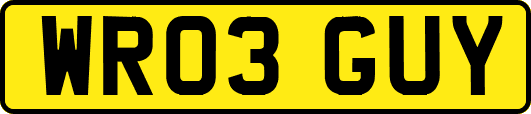 WR03GUY