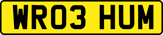 WR03HUM