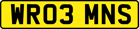 WR03MNS