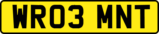 WR03MNT