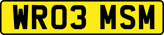 WR03MSM