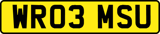 WR03MSU