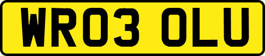 WR03OLU