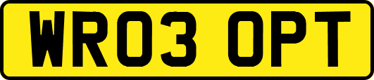 WR03OPT