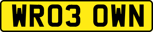 WR03OWN