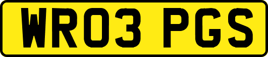 WR03PGS