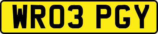 WR03PGY
