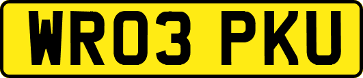 WR03PKU