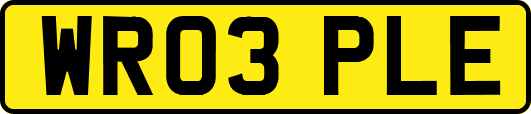WR03PLE