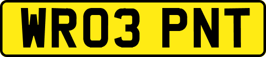 WR03PNT