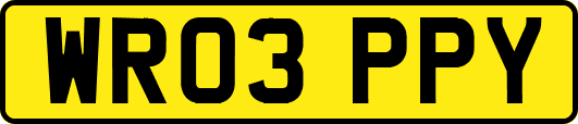 WR03PPY