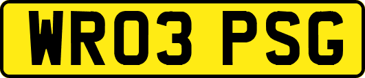 WR03PSG