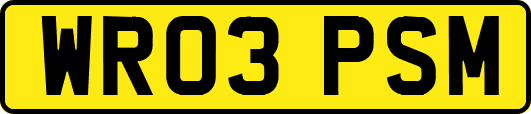 WR03PSM