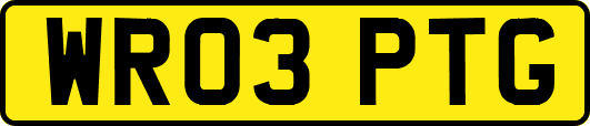 WR03PTG