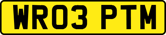 WR03PTM