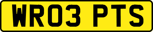 WR03PTS