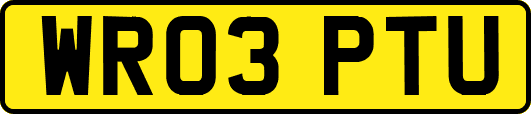WR03PTU