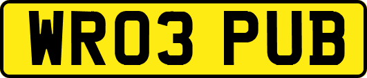 WR03PUB