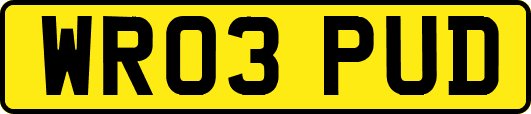 WR03PUD