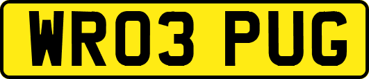 WR03PUG