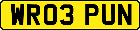 WR03PUN