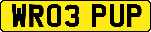 WR03PUP