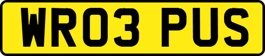 WR03PUS