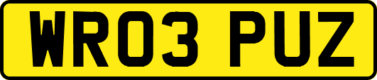 WR03PUZ