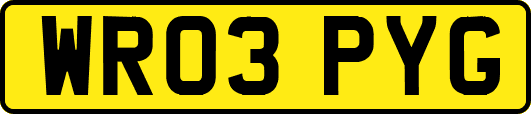 WR03PYG