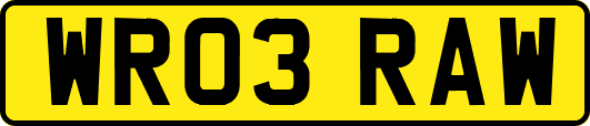 WR03RAW