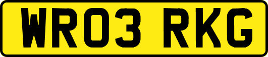 WR03RKG