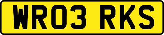 WR03RKS