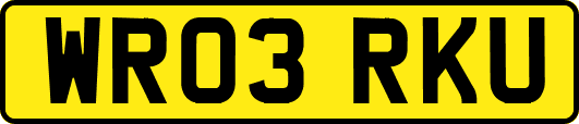WR03RKU