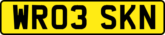 WR03SKN