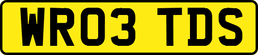 WR03TDS