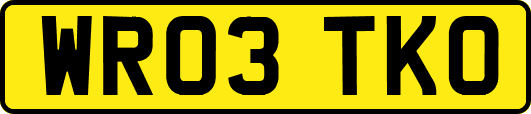 WR03TKO