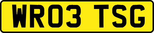 WR03TSG