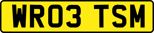 WR03TSM