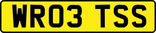 WR03TSS