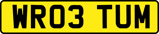 WR03TUM
