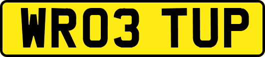 WR03TUP