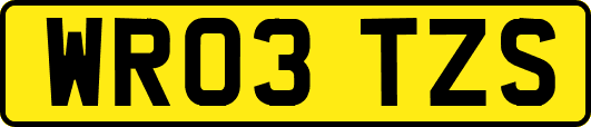 WR03TZS