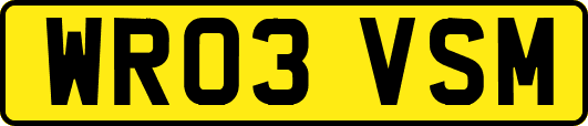 WR03VSM