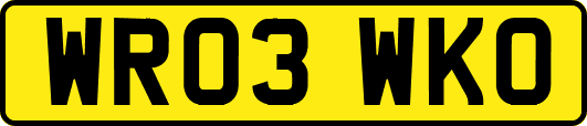 WR03WKO