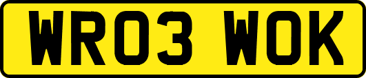 WR03WOK