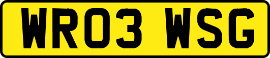 WR03WSG