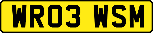 WR03WSM