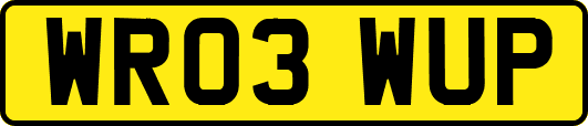WR03WUP