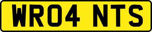 WR04NTS