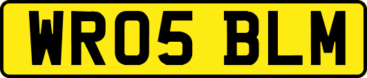 WR05BLM